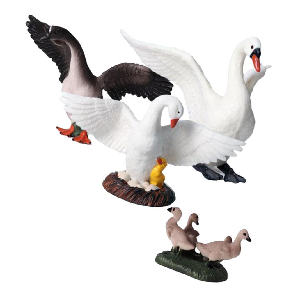 Kids Education Shows - Figuras de cisnes realistas, decoração de
