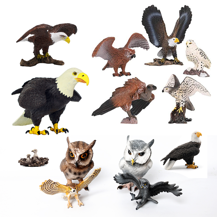 Pássaros de prey de plástico r - Kids Education Shows avaliação e preço