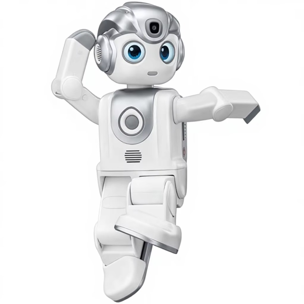 Robô Humanoide Programável com - Kids Education Program avaliação e preço