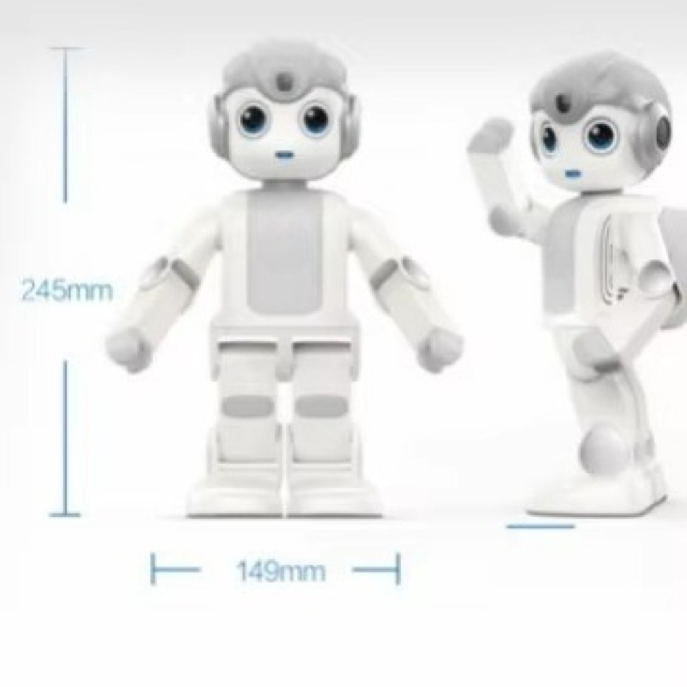 Robô Humanoide Programável com - Kids Education Program avaliação e preço