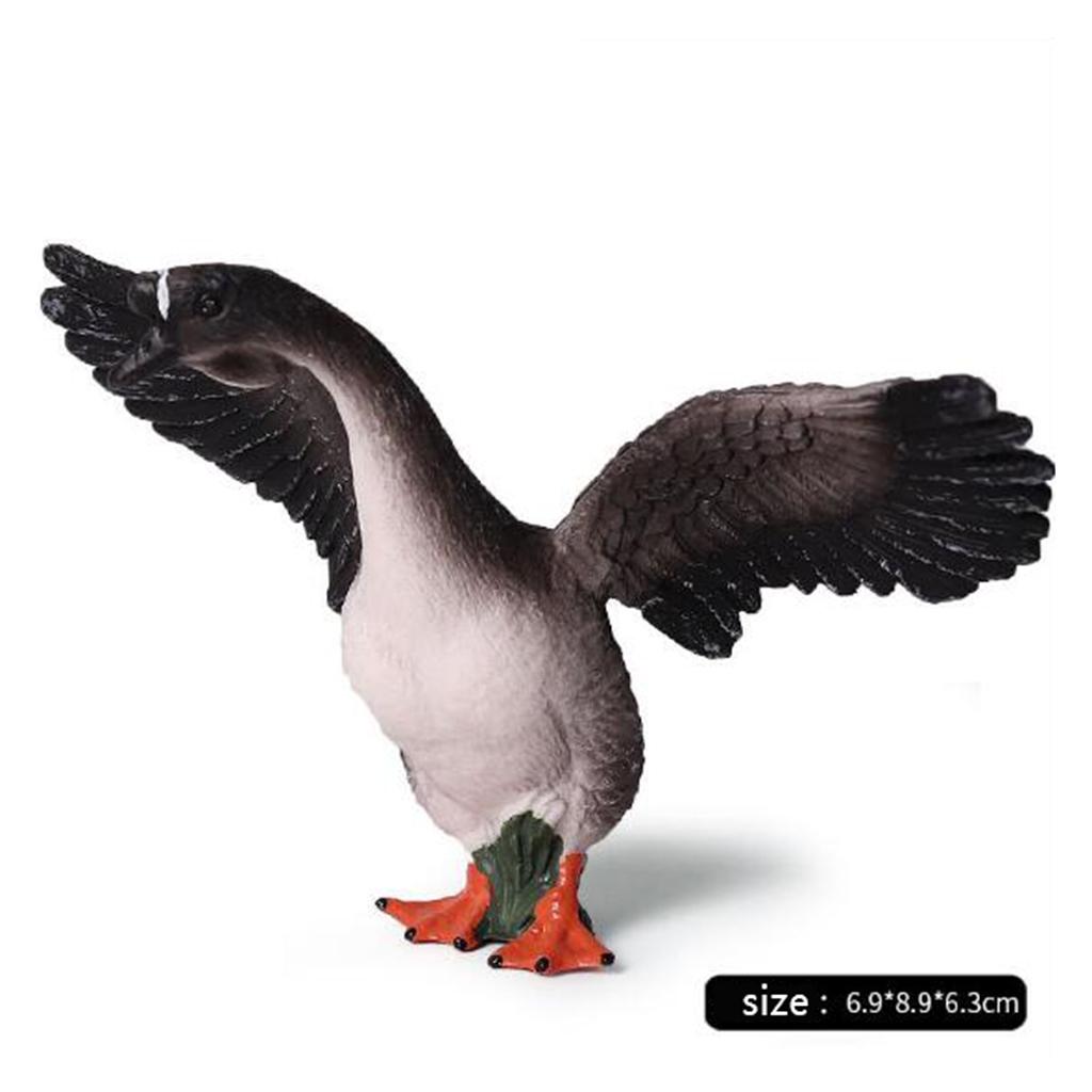 Figuras de cisnes realistas, d - Kids Education Shows avaliação e preço