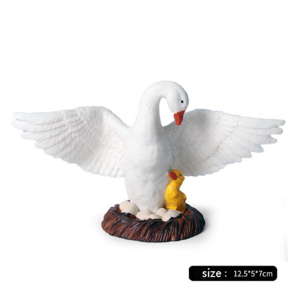 Figuras de cisnes realistas, d - Kids Education Shows avaliação e preço