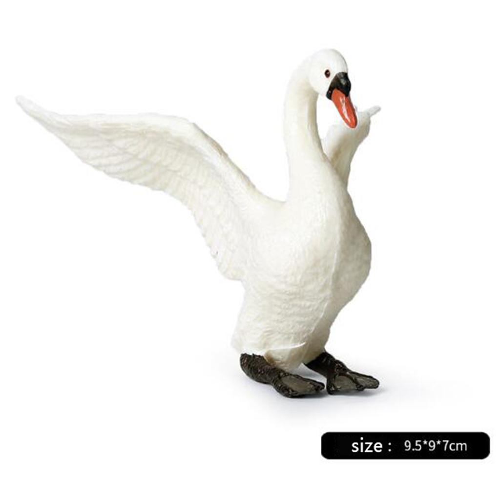 Figuras de cisnes realistas, d - Kids Education Shows avaliação e preço